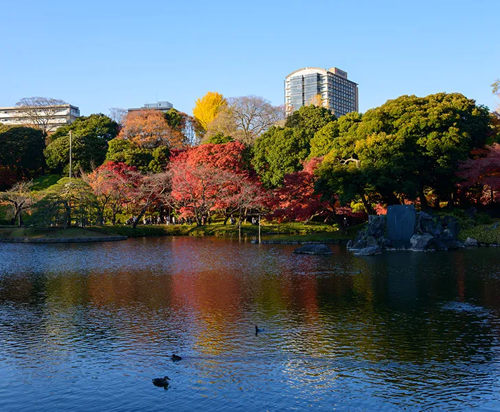 Koishikawa Korakuen Gardens